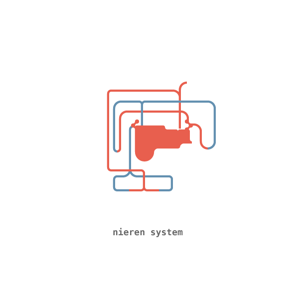 Nieren System illustration